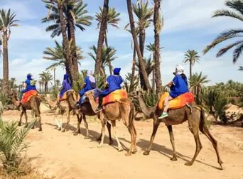 best marrakech camel ride morocco