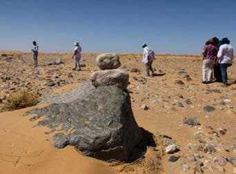 morocco fossil tours 2025