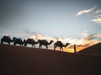 things to do in merzouga desert