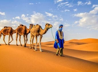 The Best Guide Important Things to know before visiting Morocco
