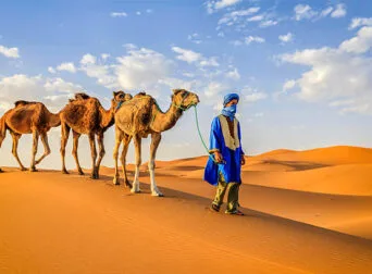 The Best Guide Important Things to know before visiting Morocco