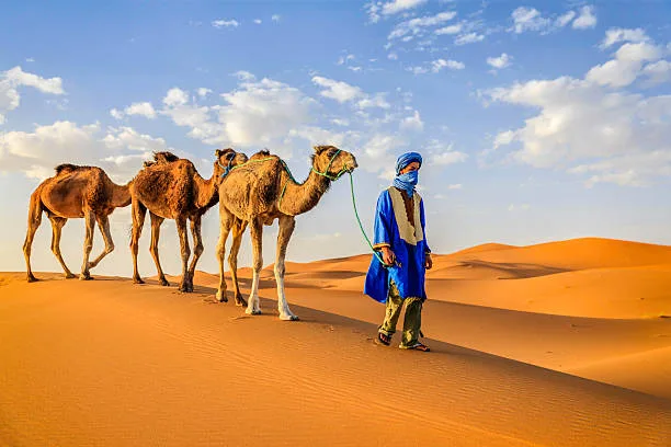 The Best Guide Important Things to know before visiting Morocco
