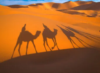 the best places for morocco camel trekking